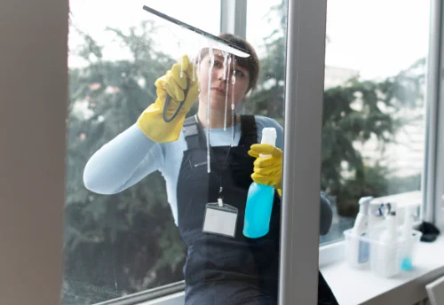 Nettoyage de vitres intérieures et extérieures à Saint-Nizier-le-Désert